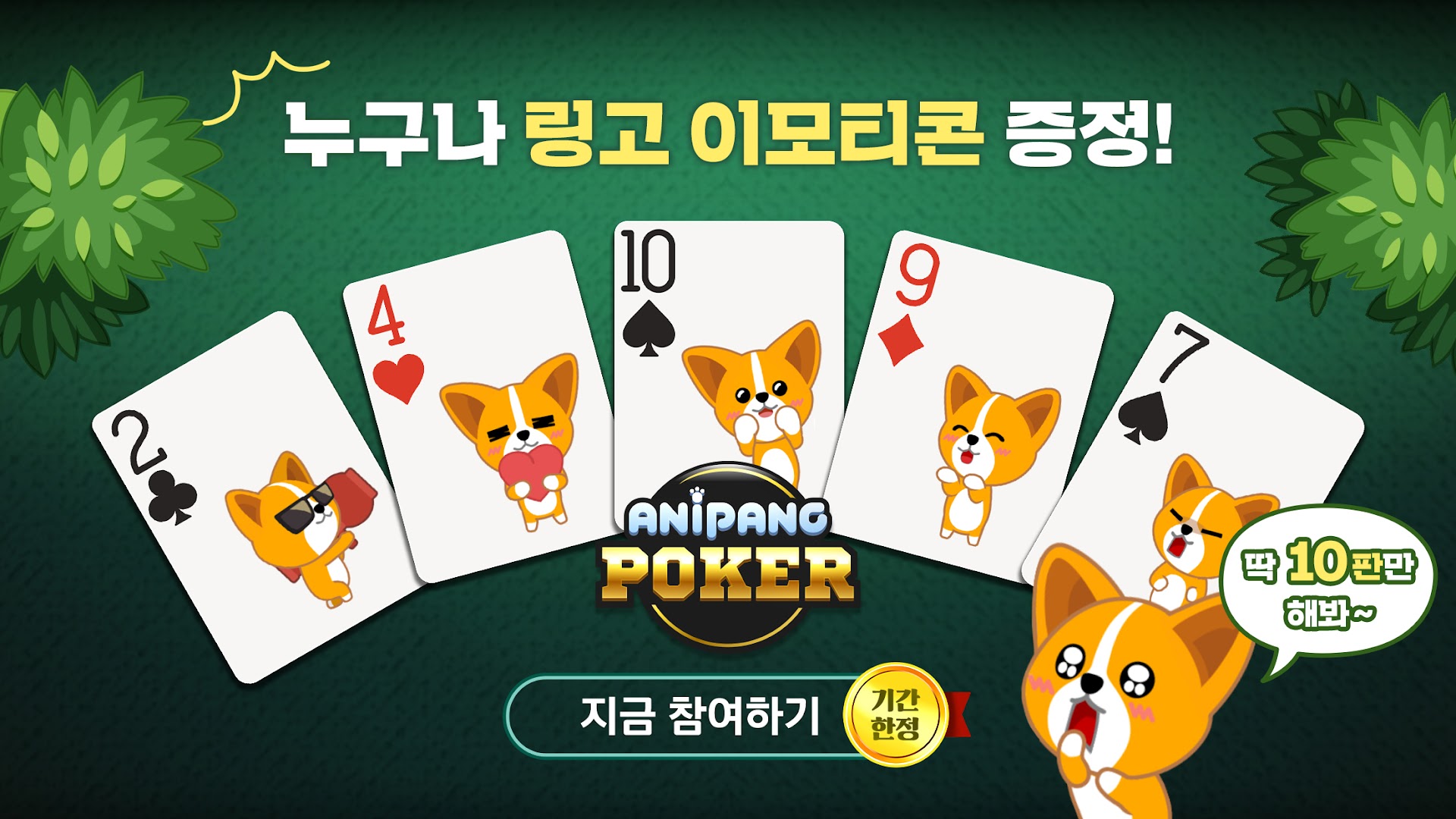 애니팡포커